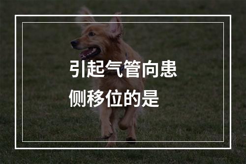 引起气管向患侧移位的是