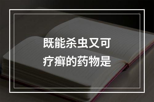 既能杀虫又可疗癣的药物是