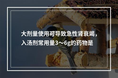 大剂量使用可导致急性肾衰竭，入汤剂常用量3～6g的药物是