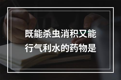 既能杀虫消积又能行气利水的药物是