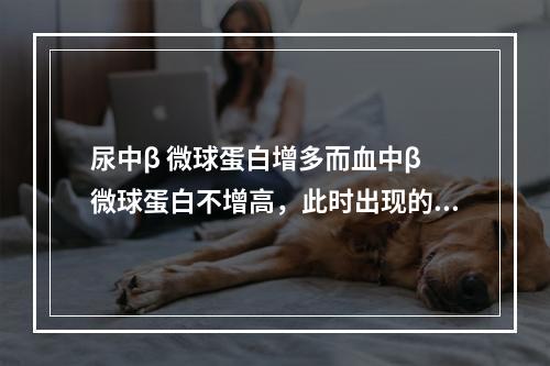 尿中β 微球蛋白增多而血中β 微球蛋白不增高，此时出现的蛋白