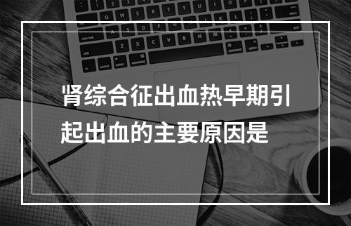 肾综合征出血热早期引起出血的主要原因是