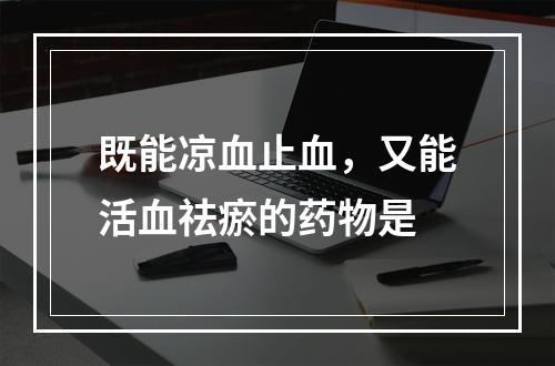 既能凉血止血，又能活血祛瘀的药物是