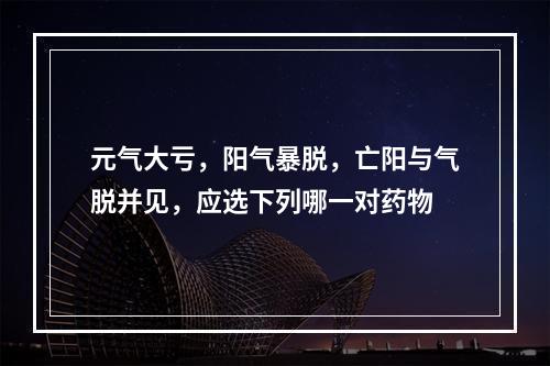 元气大亏，阳气暴脱，亡阳与气脱并见，应选下列哪一对药物