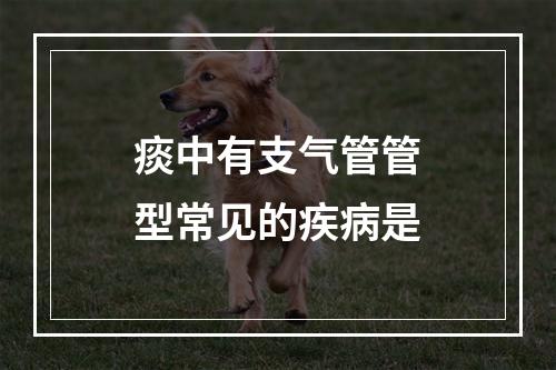 痰中有支气管管型常见的疾病是