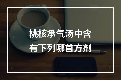 桃核承气汤中含有下列哪首方剂