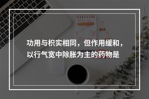 功用与枳实相同，但作用缓和，以行气宽中除胀为主的药物是