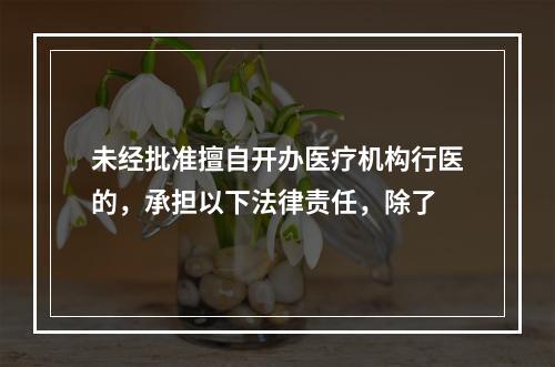 未经批准擅自开办医疗机构行医的，承担以下法律责任，除了