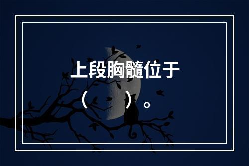 上段胸髓位于（　　）。