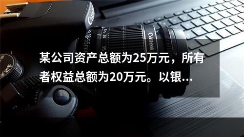 某公司资产总额为25万元，所有者权益总额为20万元。以银行存