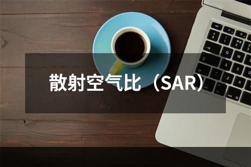 散射空气比（SAR）