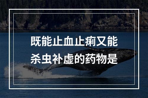 既能止血止痢又能杀虫补虚的药物是