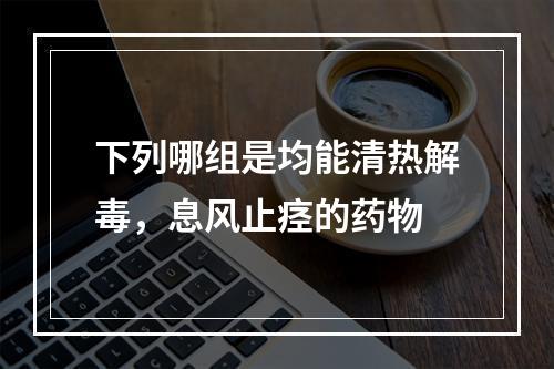 下列哪组是均能清热解毒，息风止痉的药物