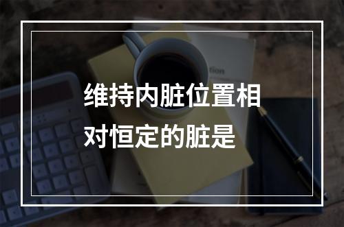 维持内脏位置相对恒定的脏是