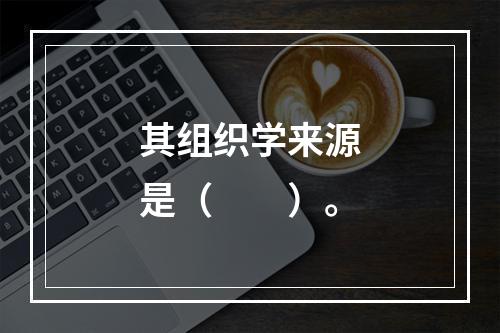 其组织学来源是（　　）。