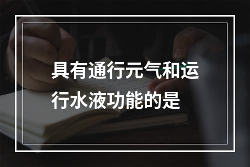 具有通行元气和运行水液功能的是