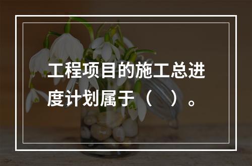 工程项目的施工总进度计划属于（　）。