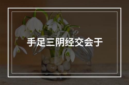 手足三阴经交会于