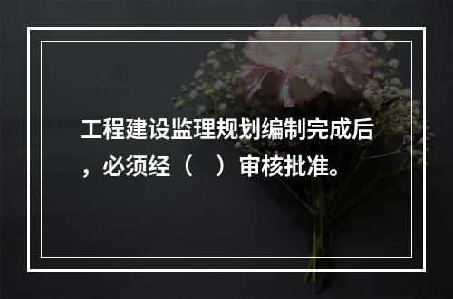 工程建设监理规划编制完成后，必须经（　）审核批准。