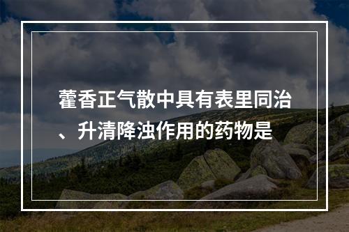 藿香正气散中具有表里同治、升清降浊作用的药物是