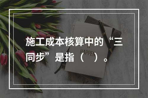 施工成本核算中的“三同步”是指（　）。