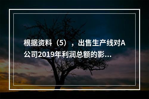 根据资料（5），出售生产线对A公司2019年利润总额的影响金