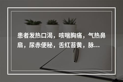 患者发热口渴，咳喘胸痛，气热鼻扇，尿赤便秘，舌红苔黄，脉数，