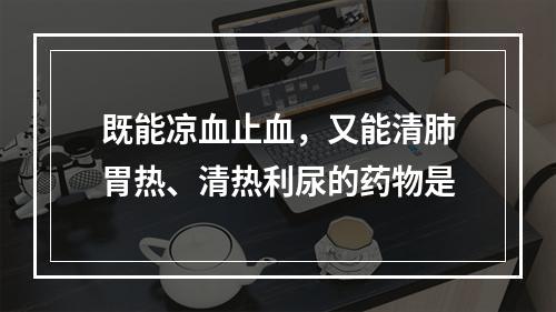 既能凉血止血，又能清肺胃热、清热利尿的药物是