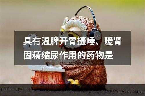 具有温脾开胃摄唾、暖肾固精缩尿作用的药物是