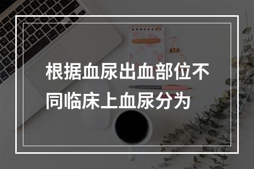 根据血尿出血部位不同临床上血尿分为