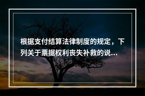 根据支付结算法律制度的规定，下列关于票据权利丧失补救的说法中