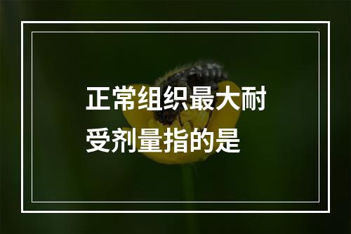 正常组织最大耐受剂量指的是