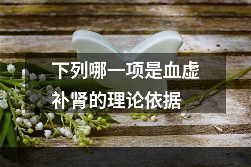 下列哪一项是血虚补肾的理论依据