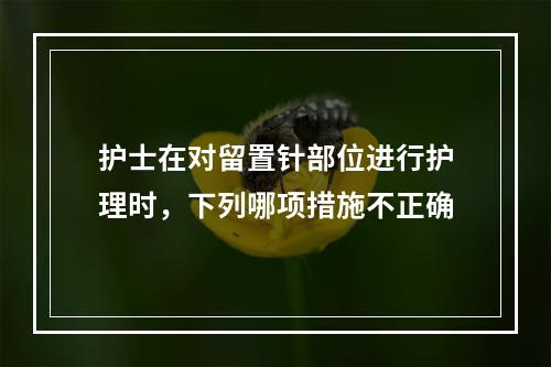 护士在对留置针部位进行护理时，下列哪项措施不正确