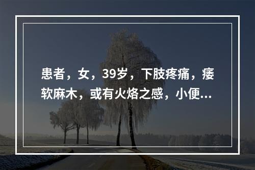 患者，女，39岁，下肢疼痛，痿软麻木，或有火烙之感，小便短赤