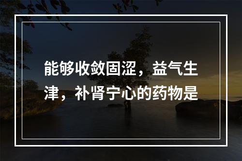 能够收敛固涩，益气生津，补肾宁心的药物是