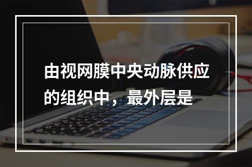 由视网膜中央动脉供应的组织中，最外层是