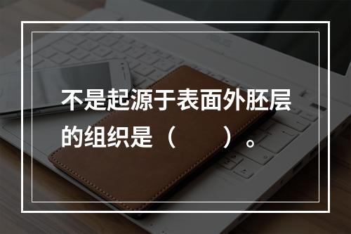 不是起源于表面外胚层的组织是（　　）。