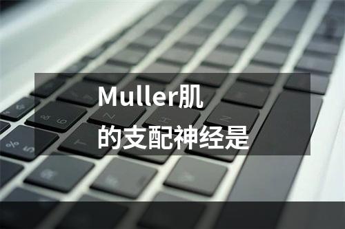 Muller肌的支配神经是