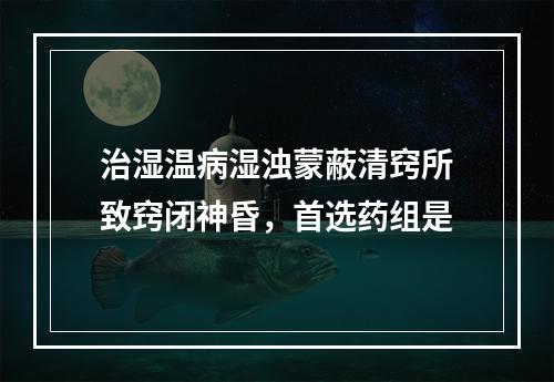 治湿温病湿浊蒙蔽清窍所致窍闭神昏，首选药组是