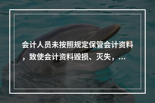 会计人员未按照规定保管会计资料，致使会计资料毁损、灭失，情节