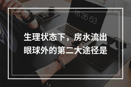 生理状态下，房水流出眼球外的第二大途径是