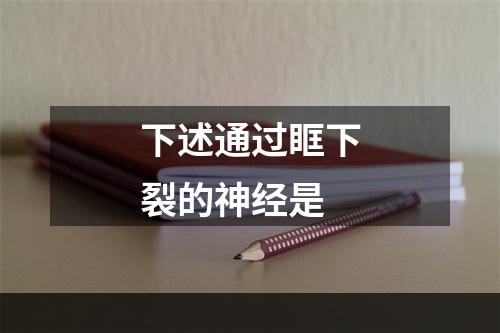 下述通过眶下裂的神经是