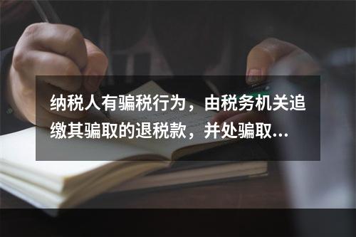 纳税人有骗税行为，由税务机关追缴其骗取的退税款，并处骗取税款