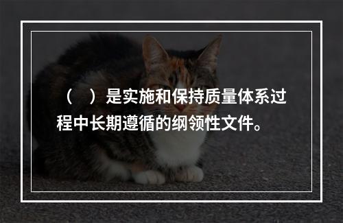 （　）是实施和保持质量体系过程中长期遵循的纲领性文件。