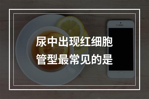 尿中出现红细胞管型最常见的是