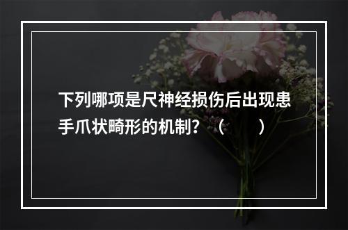 下列哪项是尺神经损伤后出现患手爪状畸形的机制？（　　）