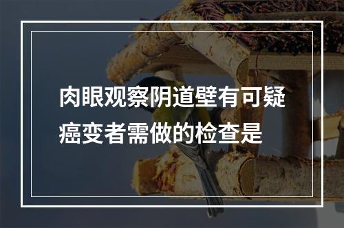 肉眼观察阴道壁有可疑癌变者需做的检查是