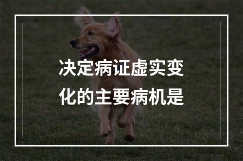 决定病证虚实变化的主要病机是