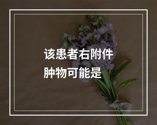 该患者右附件肿物可能是